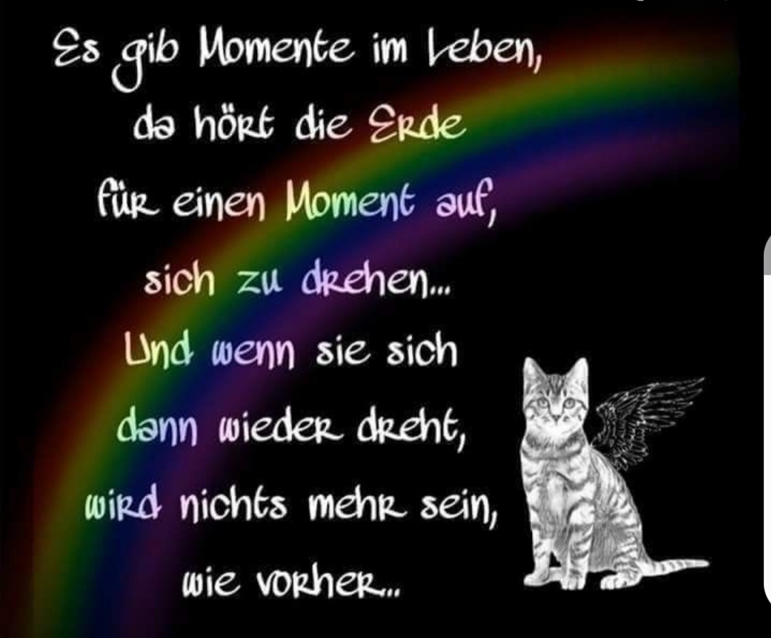 spruch