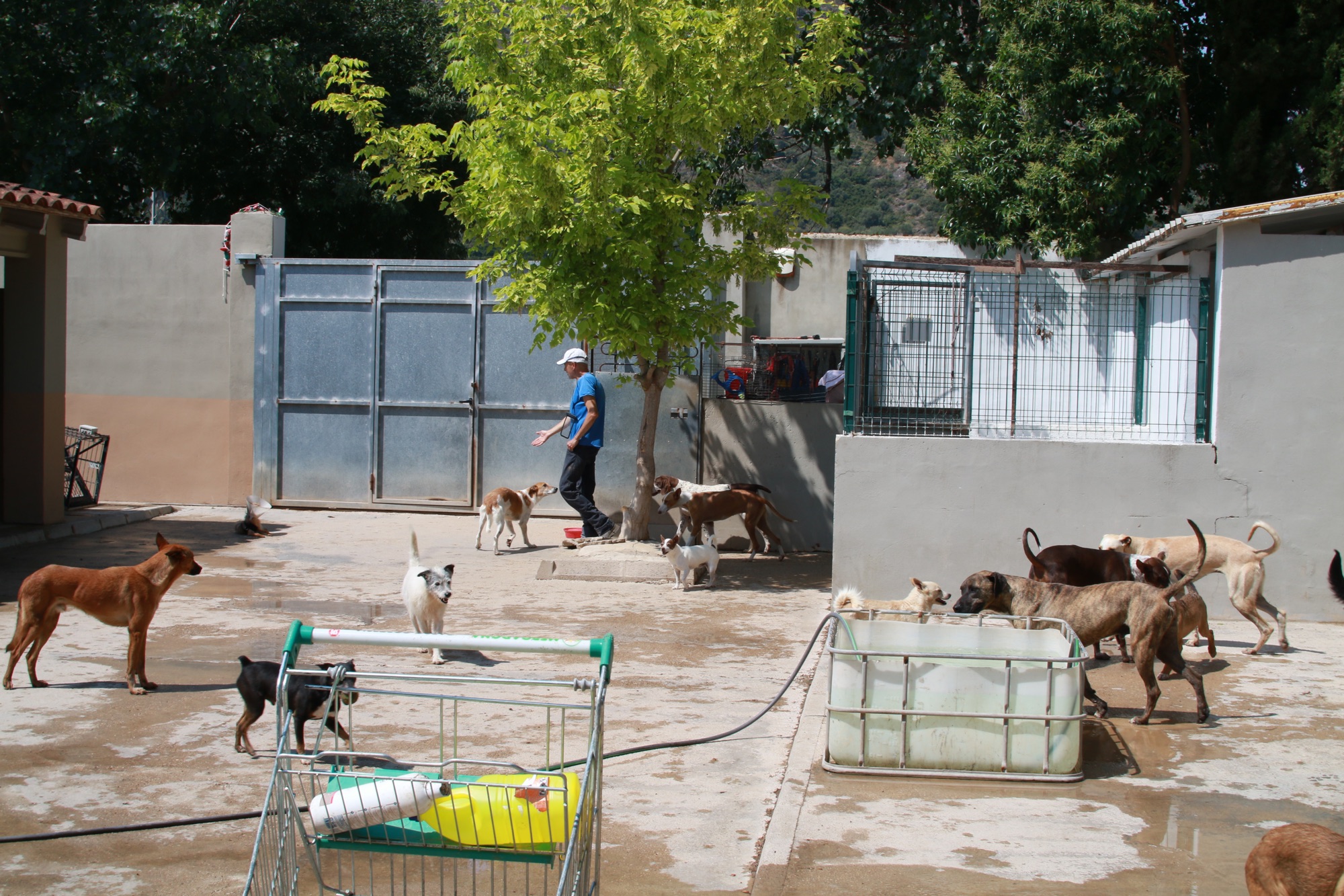 Tierheim Spax Innenansicht