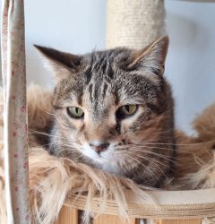 2026-03-30 at 17.26.386