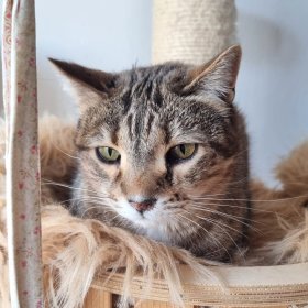 2026-03-30 at 17.26.386