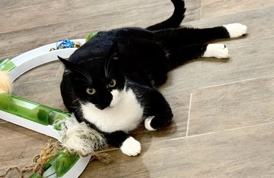 2026-01-06 at 12.49.171