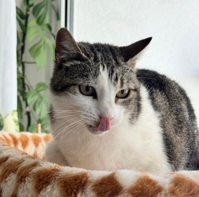 2026-04-05 at 22.53.98