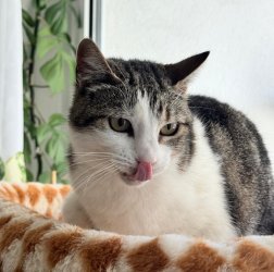 2026-04-05 at 22.53.98