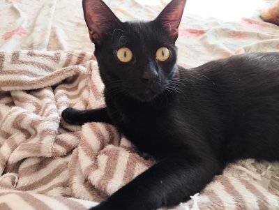 2025-11-22 um 13.29.03_3e1252c0