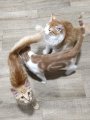 WhatsApp Bild 2025-09-30 um 09.19.11_944f75a9