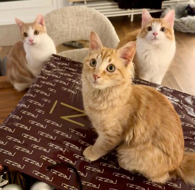 2025-11-26 um 19.53.56_b84d95a6