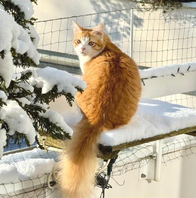 2026-01-11 at 17.02.49