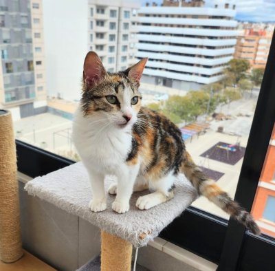 2026-02-19 at 11.53.019