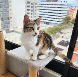 2026-02-19 at 11.53.019