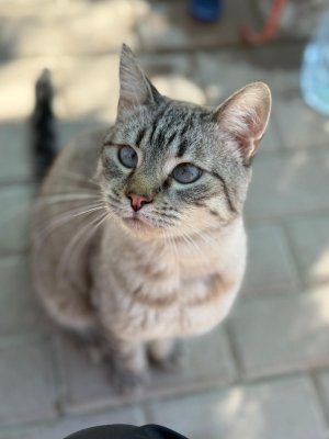 2025-10-27 um 19.22.17_4bb5430d