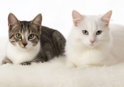 2025-11-21 um 20.09.19_5c4d065d