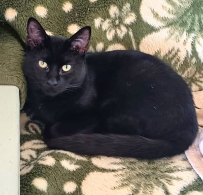 2026-03-16 at 13.11.05 (1)