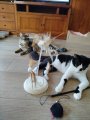 WhatsApp Bild 2025-10-08 um 13.32.57_03850f95