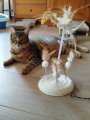 WhatsApp Bild 2025-10-08 um 13.32.57_d24818e8