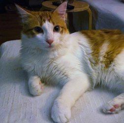 2026-01-29 at 13.48.261 (1)