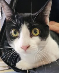 2026-01-22 at 20.45.17 (1)