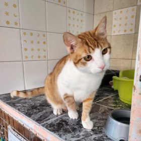 2025-12-08 um 12.42.44_3e7bd664