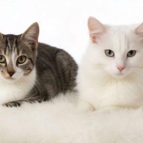 2025-11-21 um 20.09.19_5c4d065d