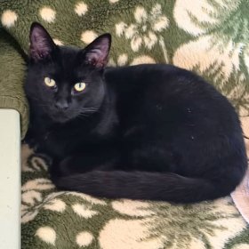 2026-03-16 at 13.11.05 (1)