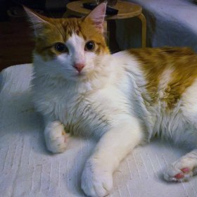 2026-01-29 at 13.48.261 (1)