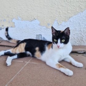 Mia (2)