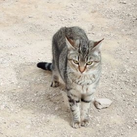 2026-03-03 at 15.55.51