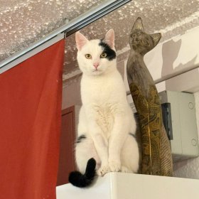 2026-04-17 at 11.30.51