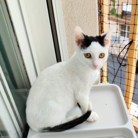 2025-12-14 at 10.34.57 (2)