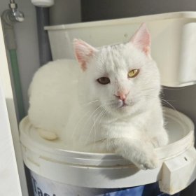 2025-11-26 at 14.53.16