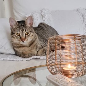 2025-11-19 um 07.35.50_4720c6b8