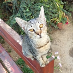 7643e68c-e739-42b9-aa64-8aa40f09b560