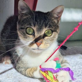 5f29c369-ae8d-4a82-9a1c-2dfb1bf8acf8