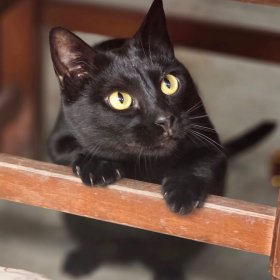 2026-04-12 at 20.17.131