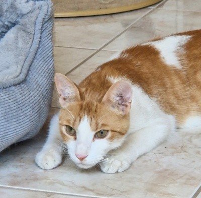 Max (3)