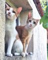 Luis und Max