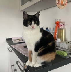 2025-12-28 at 08.47.23