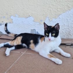 Mia (2)