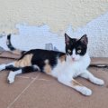 Mia (2)