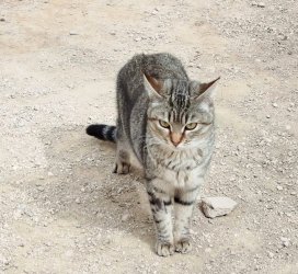 2026-03-03 at 15.55.51