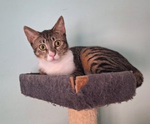 2026-03-21 at 12.22.46