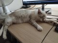 WhatsApp Bild 2025-10-09 um 11.26.21_f65f9b52