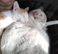 WhatsApp Bild 2025-10-09 um 11.26.21_41e8446f