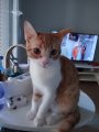 WhatsApp Bild 2025-10-09 um 11.26.21_a5d96c5f