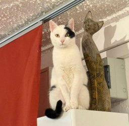 2026-04-17 at 11.30.51