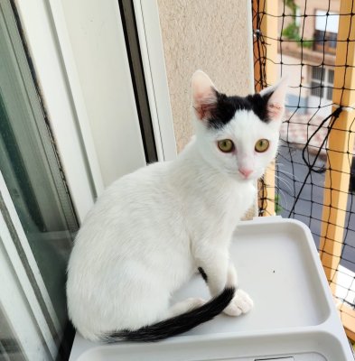 2025-12-14 at 10.34.57 (2)