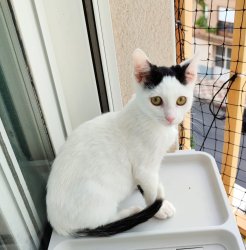 2025-12-14 at 10.34.57 (2)