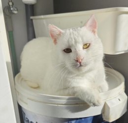 2025-11-26 at 14.53.16