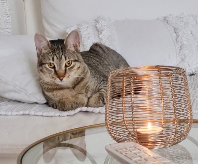 2025-11-19 um 07.35.50_4720c6b8