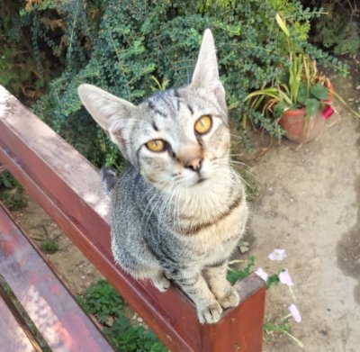 7643e68c-e739-42b9-aa64-8aa40f09b560