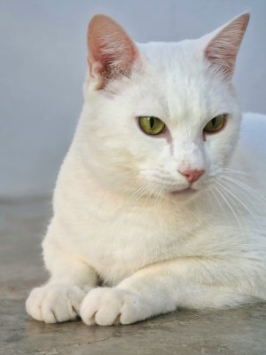 619111744_4295815754020266_2267276621085699376_n